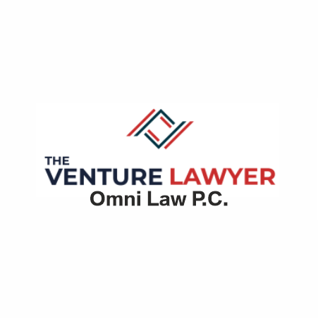 Photo of The Venture Lawyer